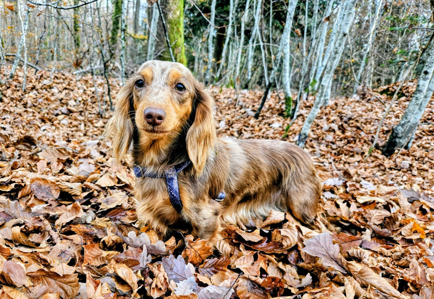 Night of lover (love) hug me strongly